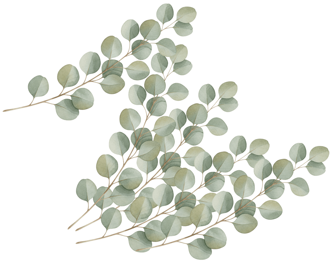 Eucalyptus