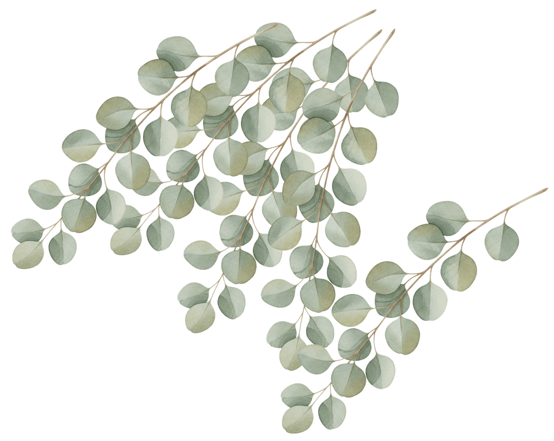 Eucalyptus